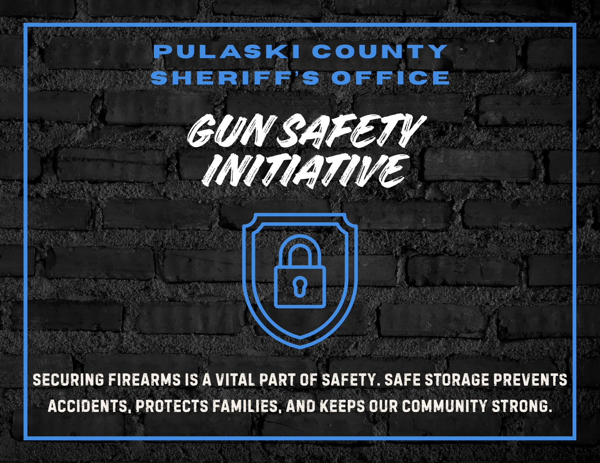 Gun Safety Initiative